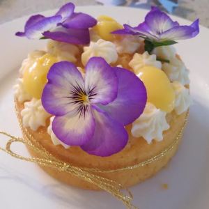 Lemon Sour Cream Cake